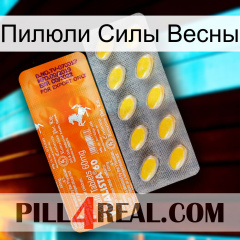 Пилюли Силы Весны new05